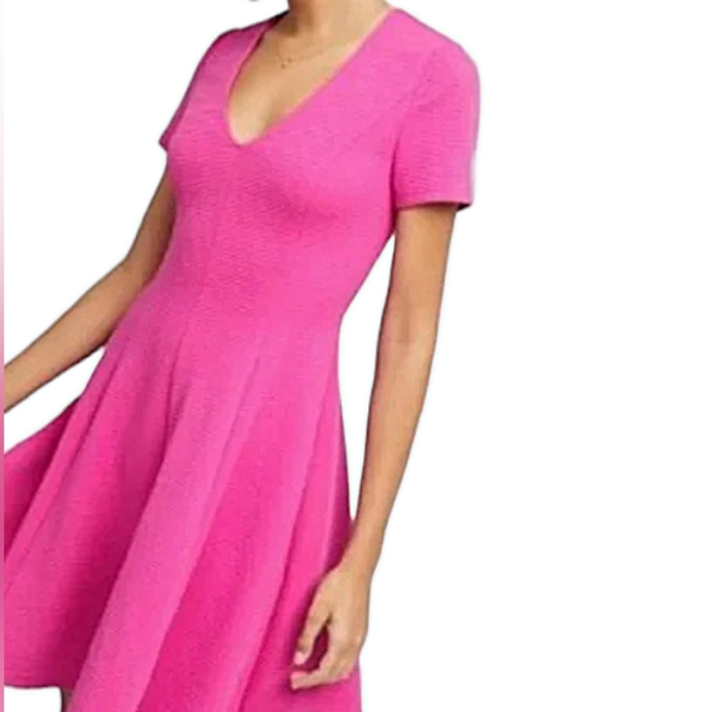 Hutch Anthropologie Fit and Flare Pink Stretch Dress Women's Sz Lg Hot Pink